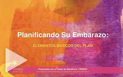 Planificando Su Embarazo: Elementos Básicos del Plan